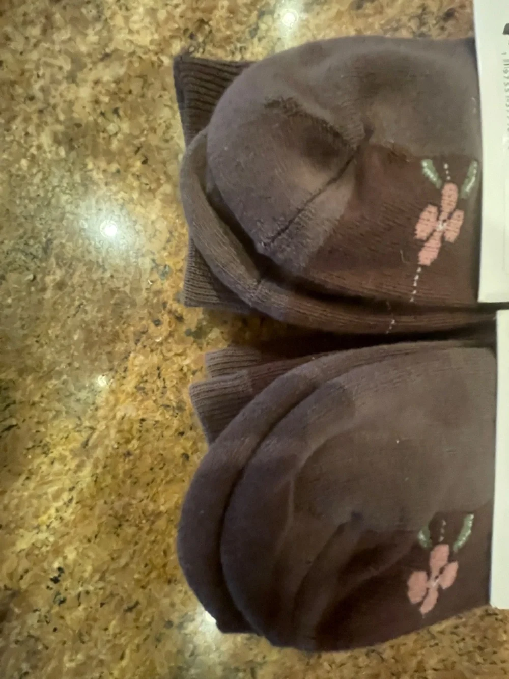 Pact Violet Stripe Premium Crew Socks Two Pair NWT!